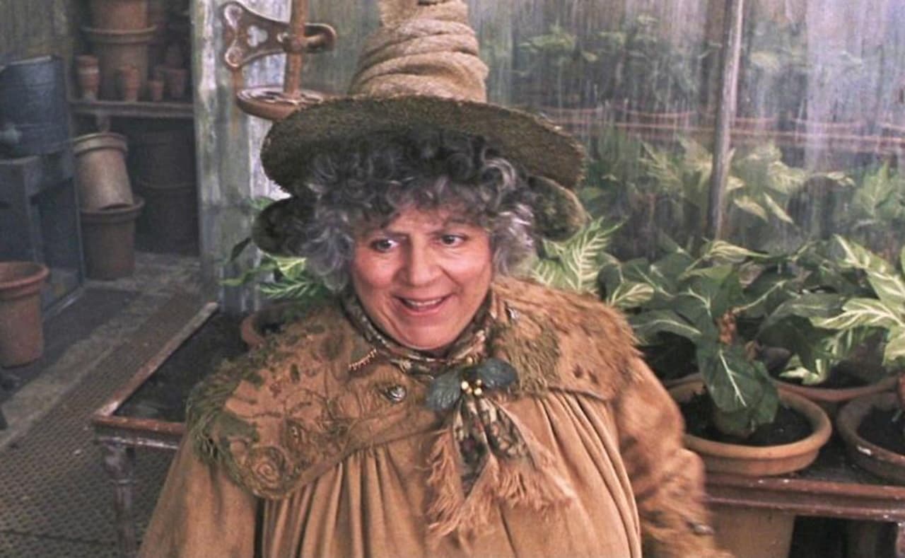 Miriam Margolyes, actriz británica.