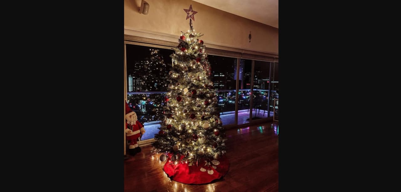 No es el único lugar de la casa que cuenta con una gran vista de la ciudad, este 2020 la pareja mostró su enorme árbol de Navidad y la gran terraza que tienen.
