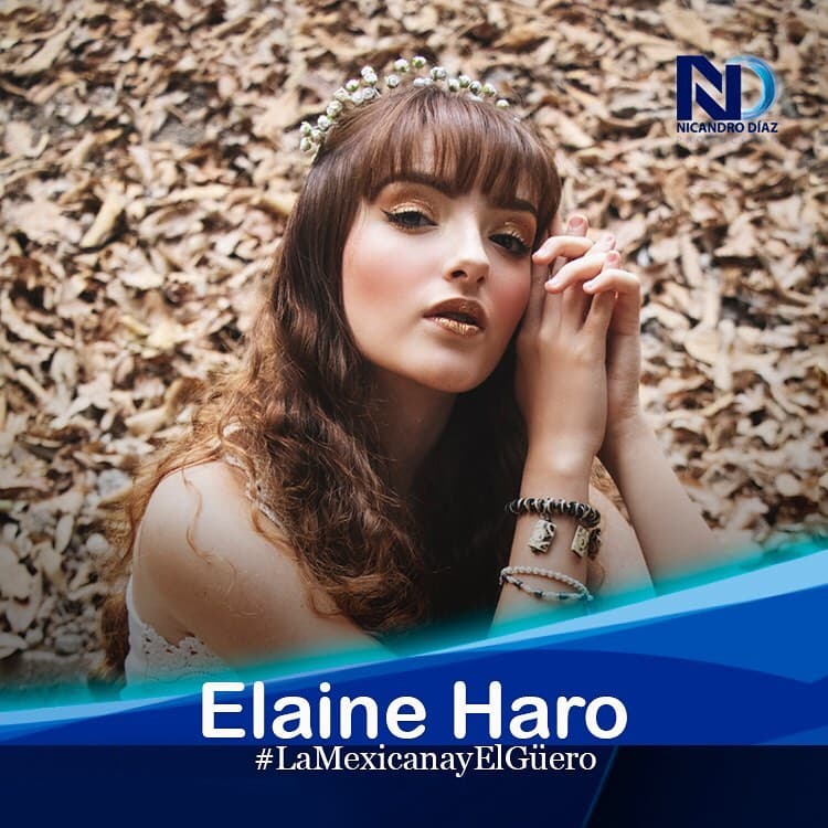 Después de incursionar en la música, Elaine Haro se suma a esta producción de Nicandro Díaz.