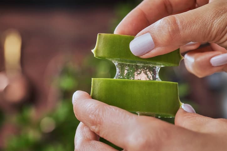 Woman hands holding aloe vera slices. Skincare treatments