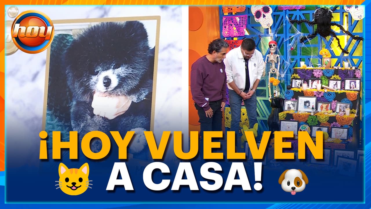 ¡El amor nunca muere! Esta noche esperamos el regreso de nuestras mascotas
