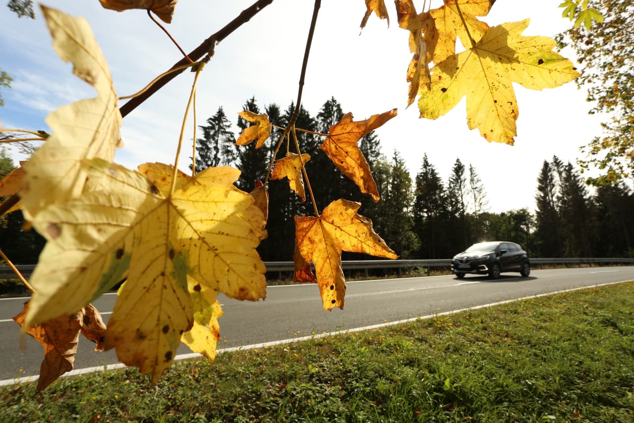 ¿Cuándo y a qué hora inicia el otoño este 2020 en México?