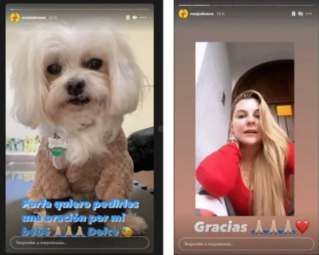 Marjorie de Sousa teme por la vida de su mascota y pide oraciones