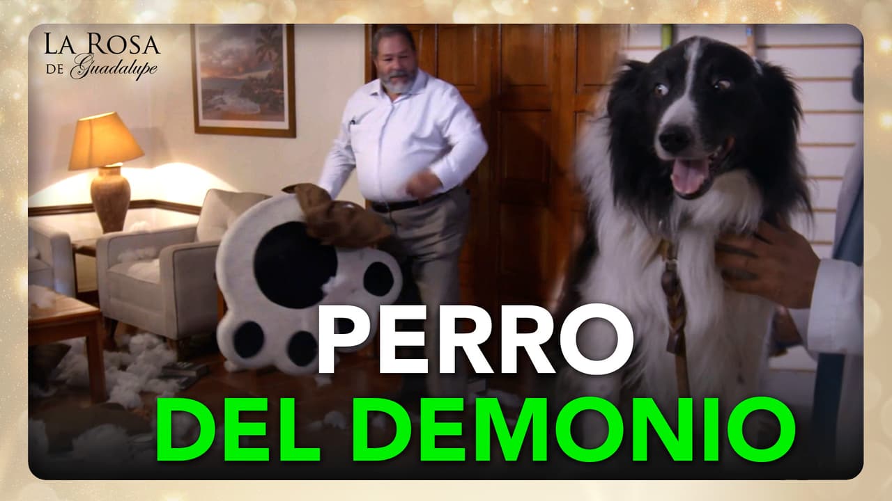 Ángel destroza todo a su paso en la casa y Don Beto lo manda a un refugio
