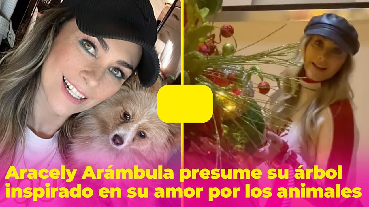 Aracely Arámbula se inspiró en su amor por los animales para decorar su hermoso árbol de Navidad