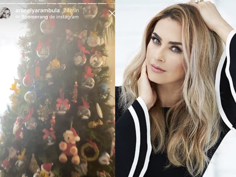 Entre esferas, moños y muñecos de peluche, Aracely Arámbula decoró su árbol de Navidad.