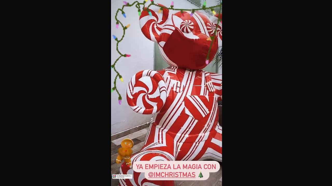 Andrea Legarreta muestra la decoración navideña de su hogar