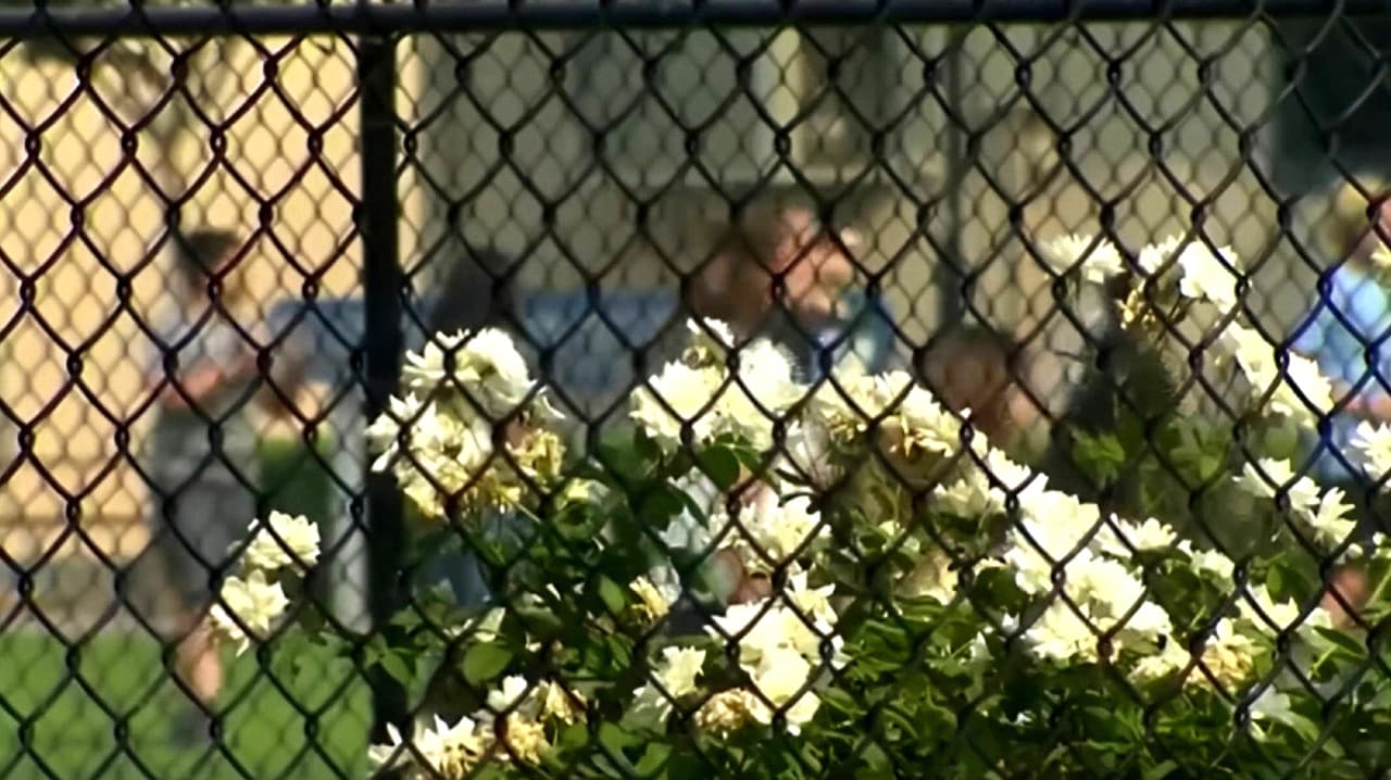 ¿Qué son las terapias de conversión? ¿Cuáles son los riesgos de daño psicológico?