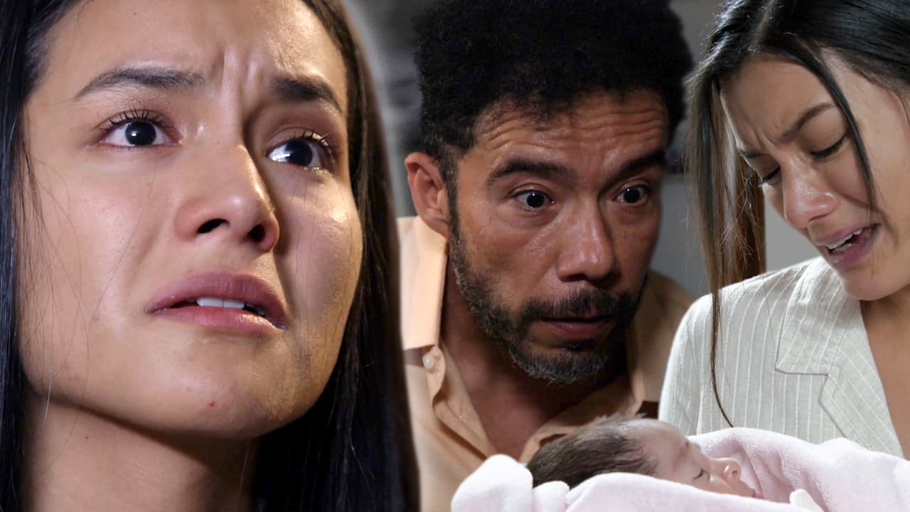 C1805: Volver a ver la luz