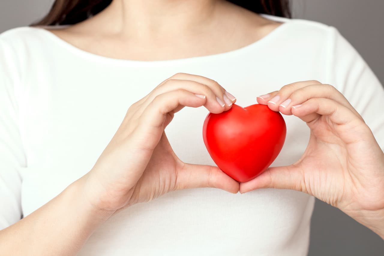 Holding heart, vertical