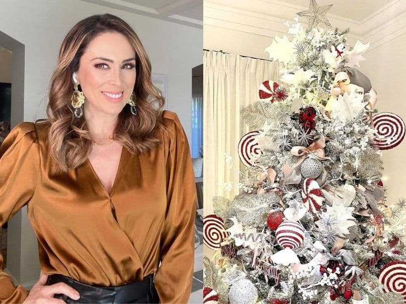 Una de las primeras famosas en presumir la decoración navideña de su hogar y su arbolito fue Jacky Bracamontes, dejando al descubierto que para este año había elegido tonalidades rojas, blancas y azules en sus adornos.