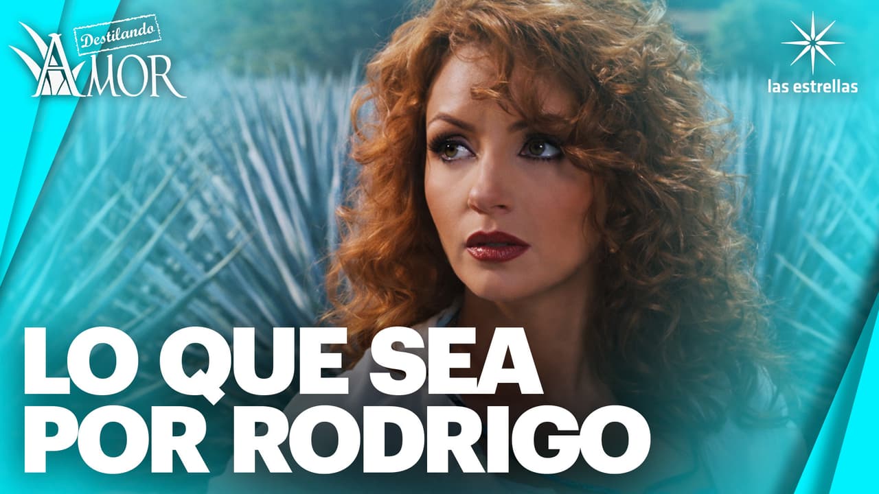 Gaviota incursiona en el modelaje para poder viajar hacia París