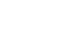 La gata