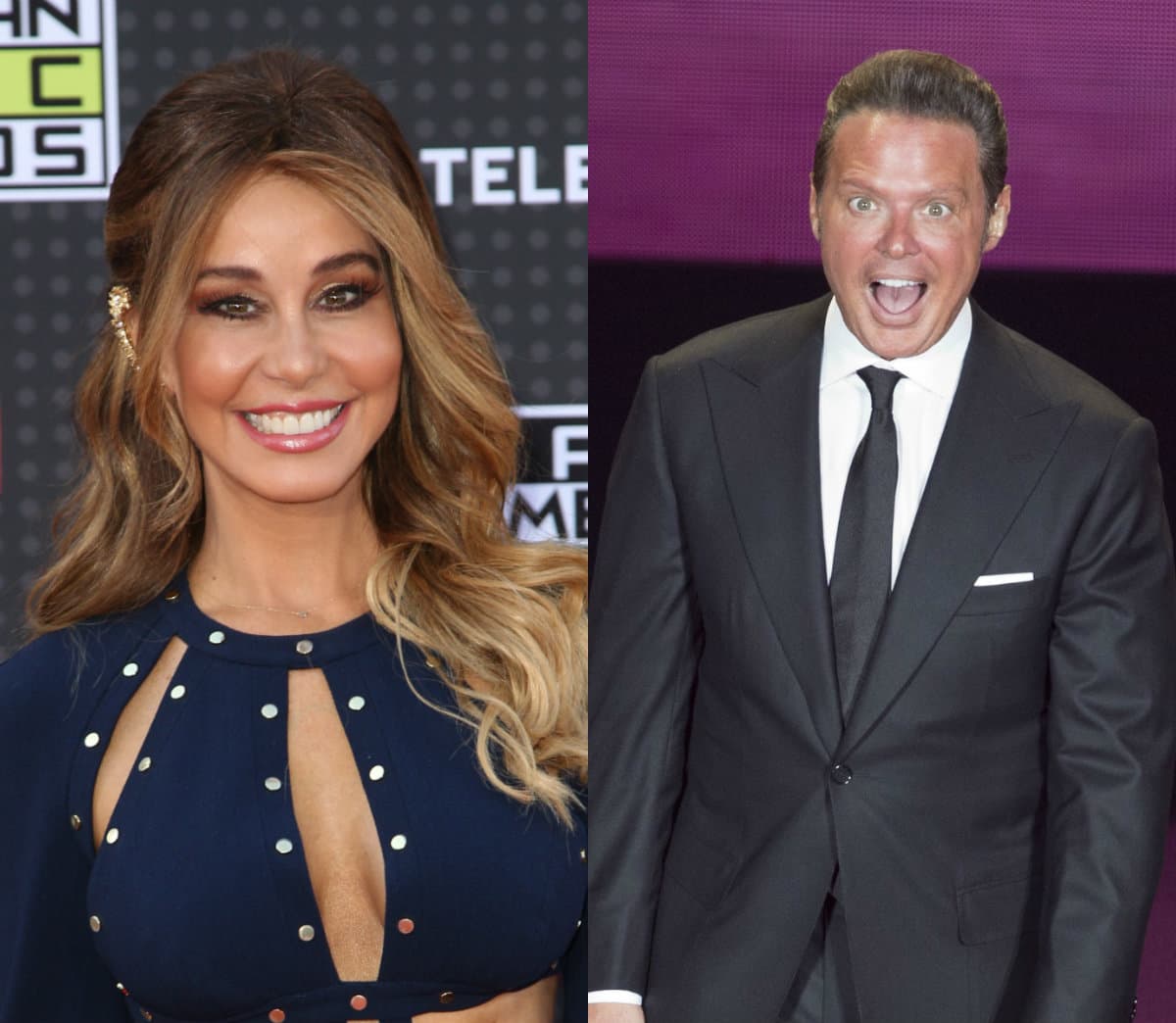 Myrka Dellanos habla de la relación que le une con Luis Miguel