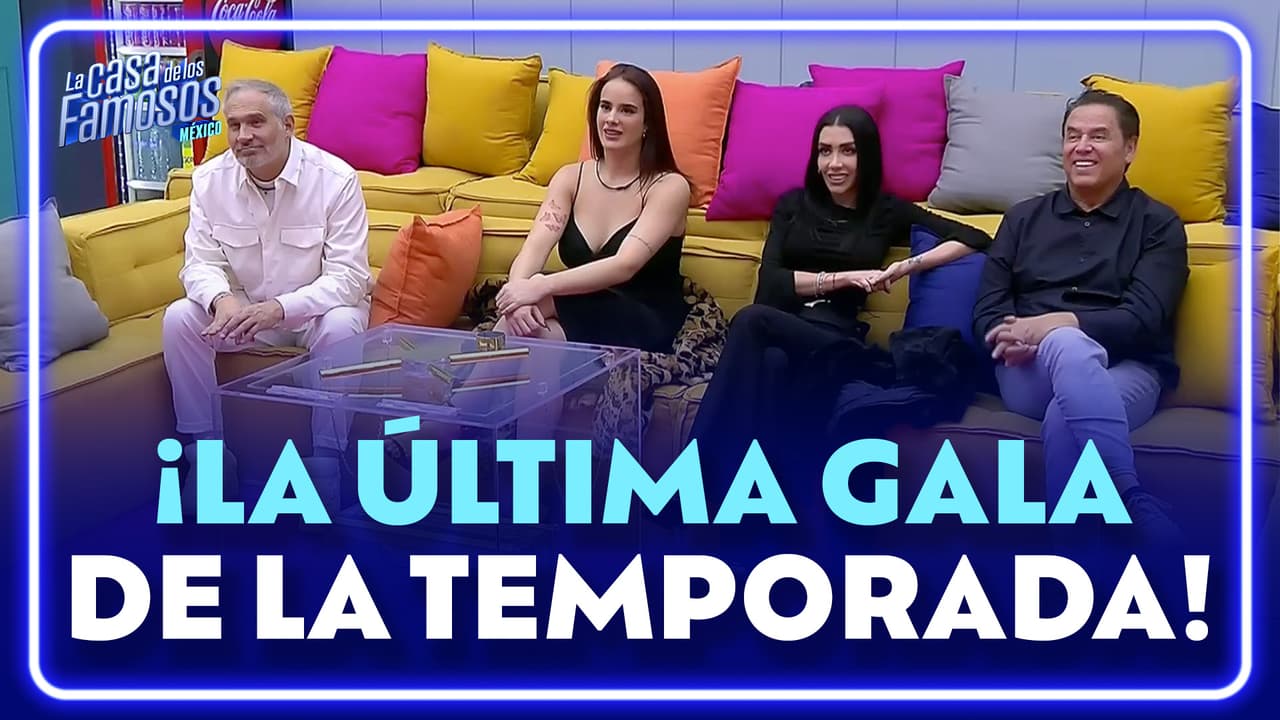 Los finalistas dan su último mensaje antes de llegar a la final