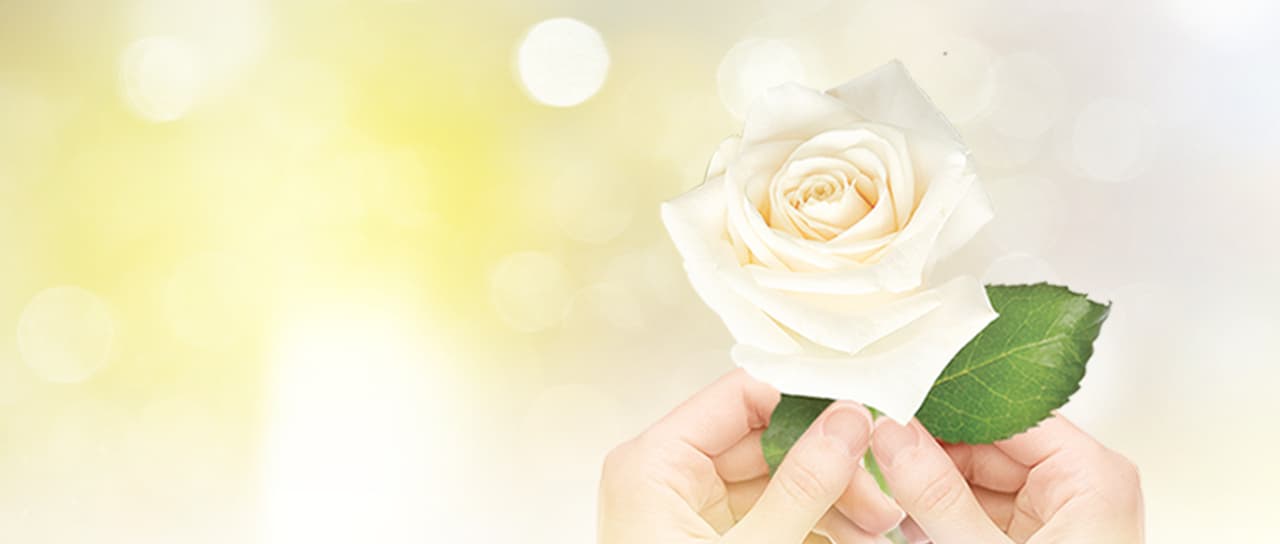 ¡La Rosa de Guadalupe celebra 12 años de milagros!
