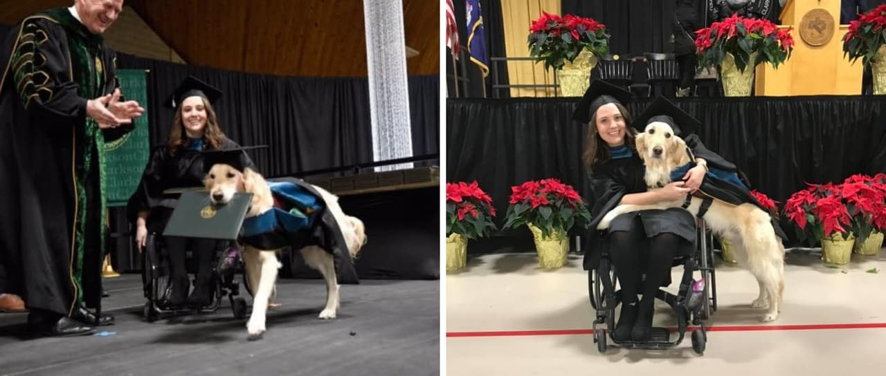 Conoce a Griffin, el golden retriever que se graduó de la maestría