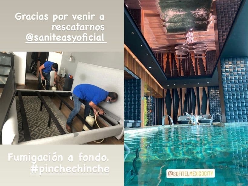 Erik Rubín fumiga su casa tras encontrar chinches en su cama.