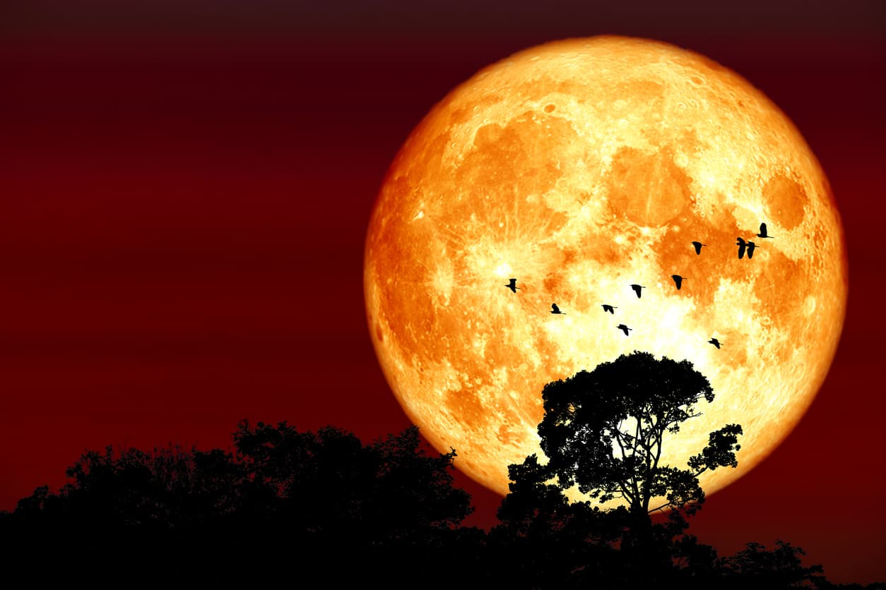 Eclipse lunar y supeluna de mayo: Estas son las fechas de los fenómenos astronómicos