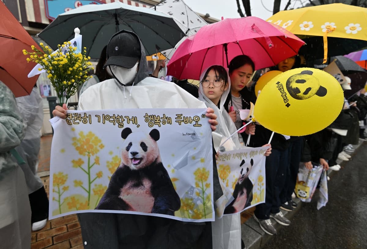 Surcoreanos se reunieron para despedirse de la panda Fu Bao