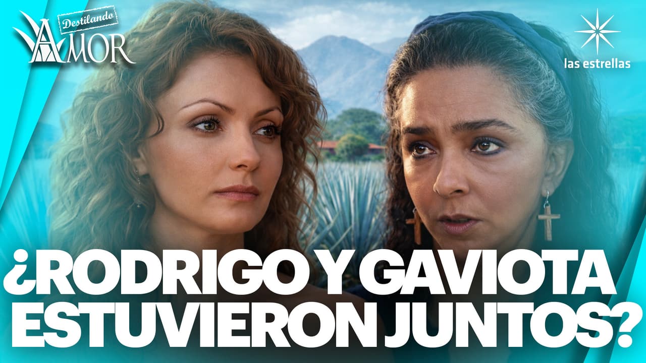 Clarita sospecha que Gaviota está esperando un hijo