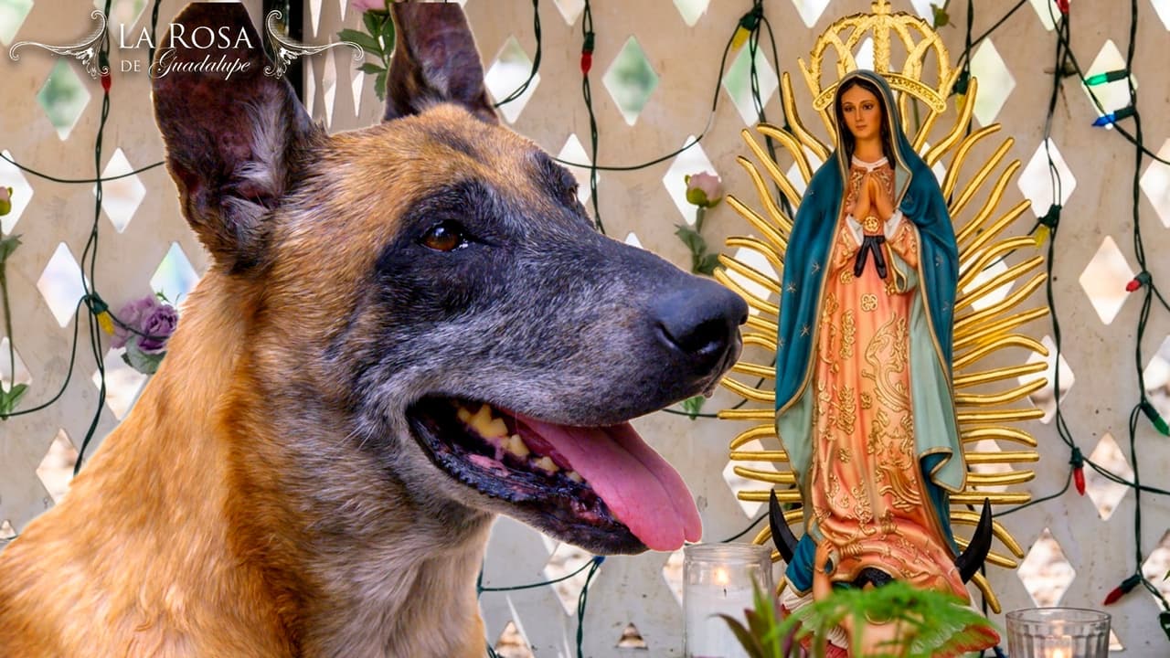 La Rosa de Guadalupe | MIS OJOS DE LUZ | Resumen | Parte 2