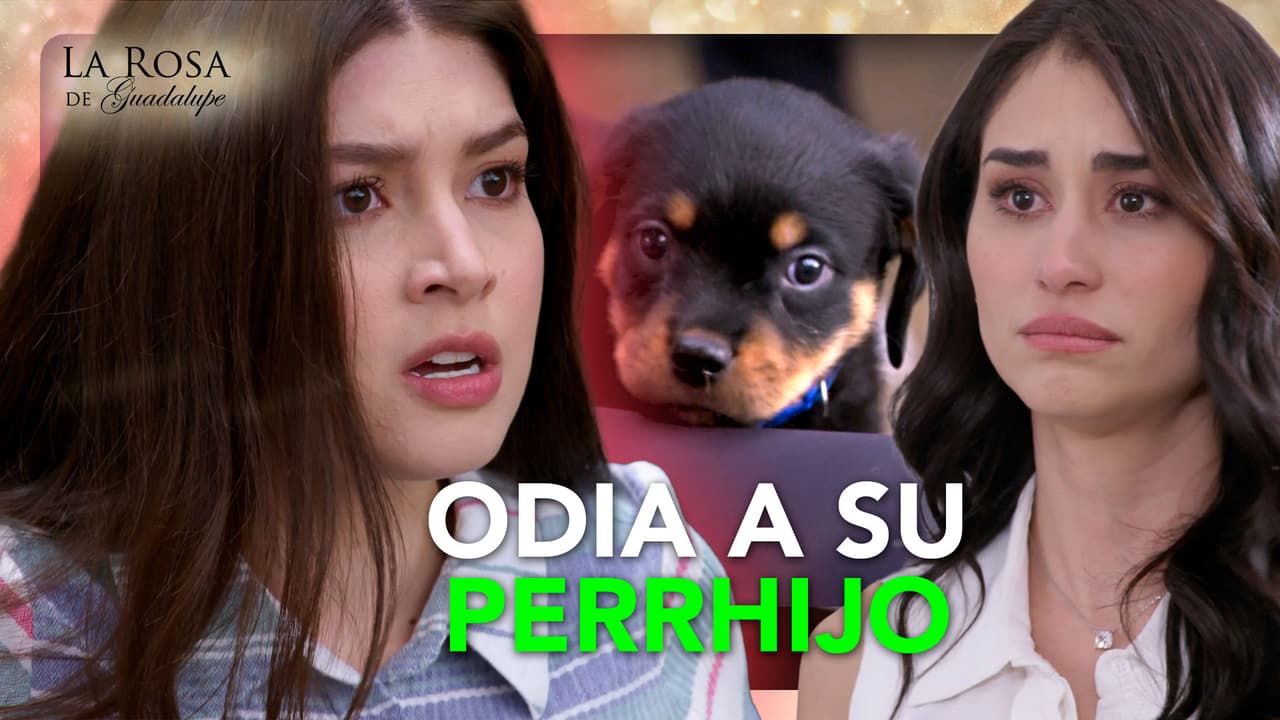 Alma descubre que la novia de Diego es muy mala con el pobre Toby