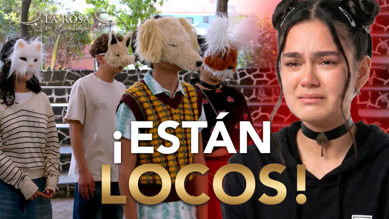 Elvin y Mireya organizan una reunión de Therians y los tachan de locos que se creen animales