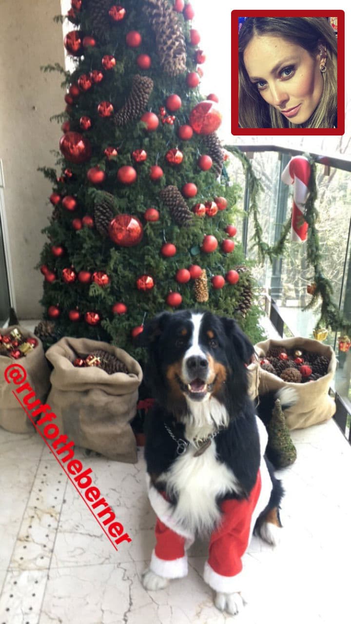 Vanessa Huppenkothen comparte su espíritu navideño con su mascota. Foto: Instagram