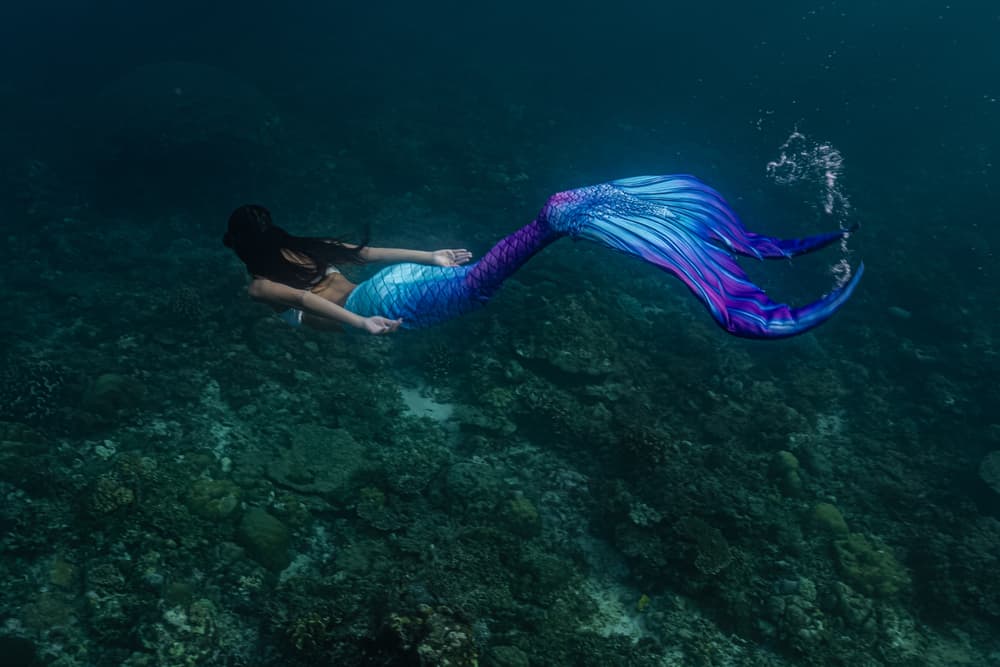 Captan supuesto canto de sirena.
