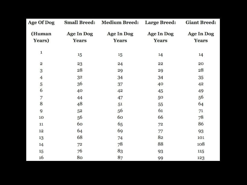 Calcula la edad de tu perro