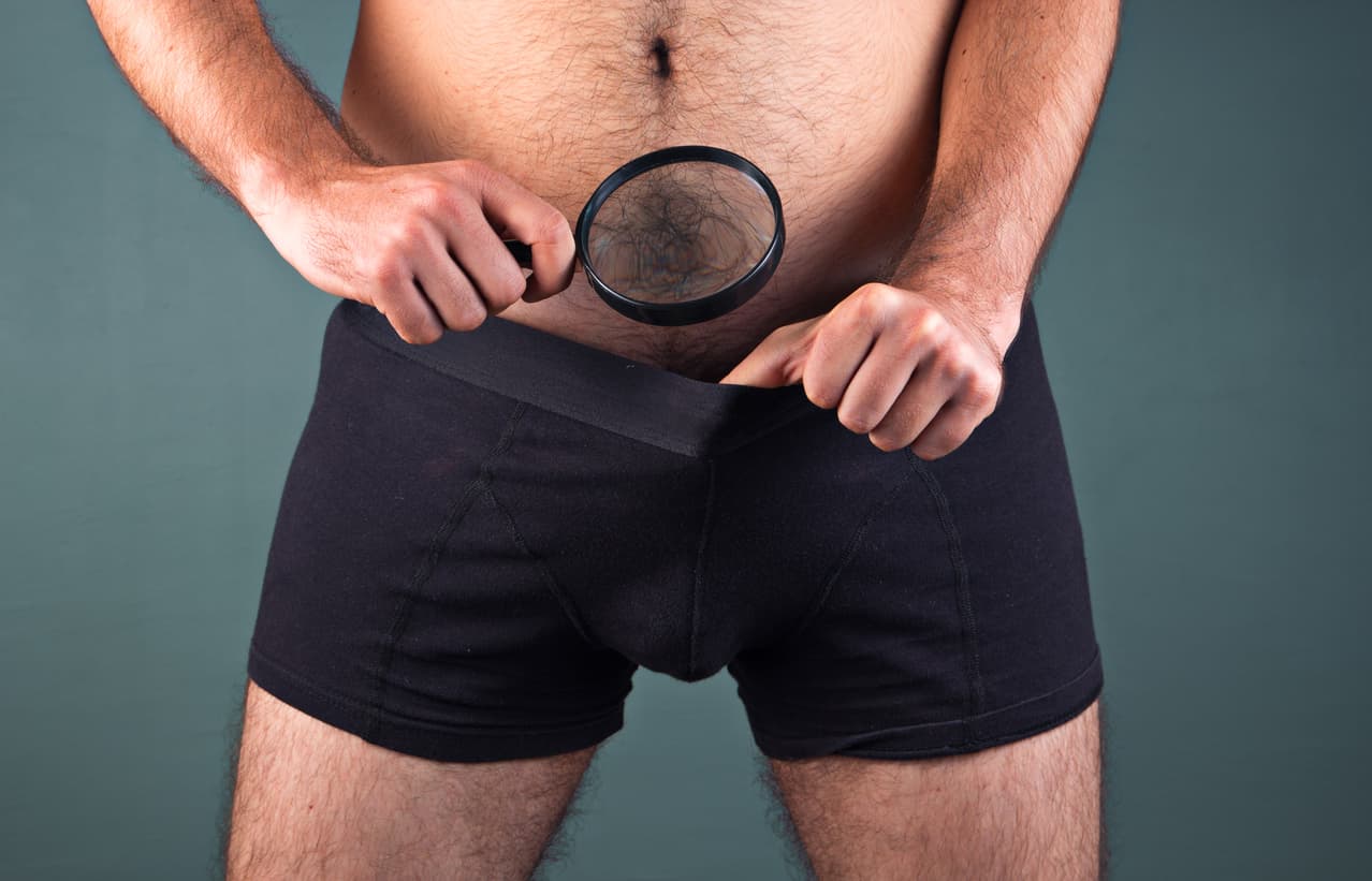 5 cosas que no sabías sobre el pene