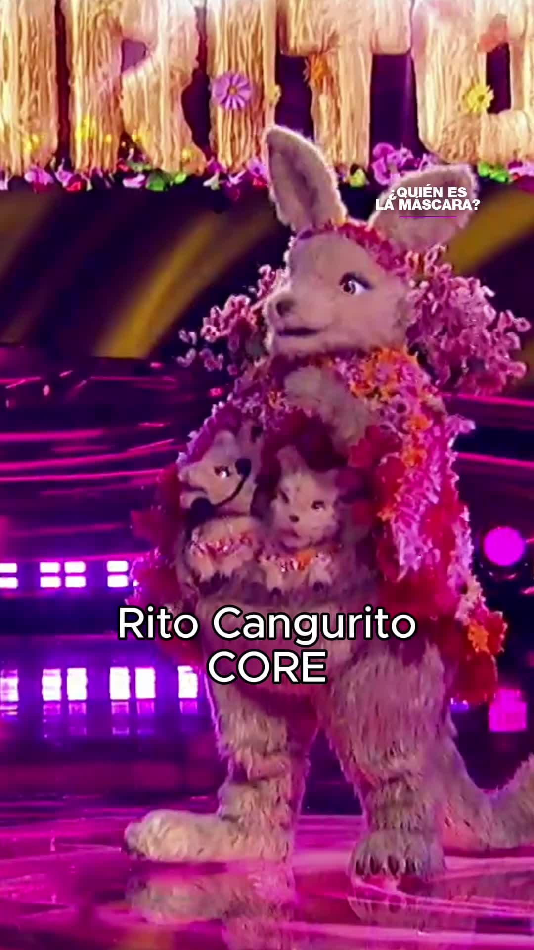 Revive los mejores momentos de Rito Cangurito