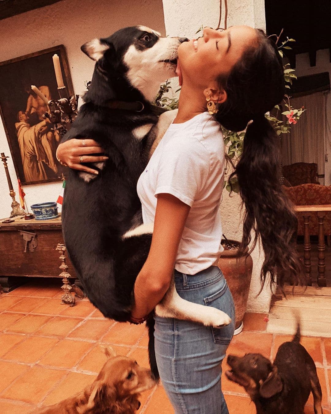“Irinita”, fue el texto que compartió Alejandra para mostrar el gran cariño que siente por una de sus mascotas.