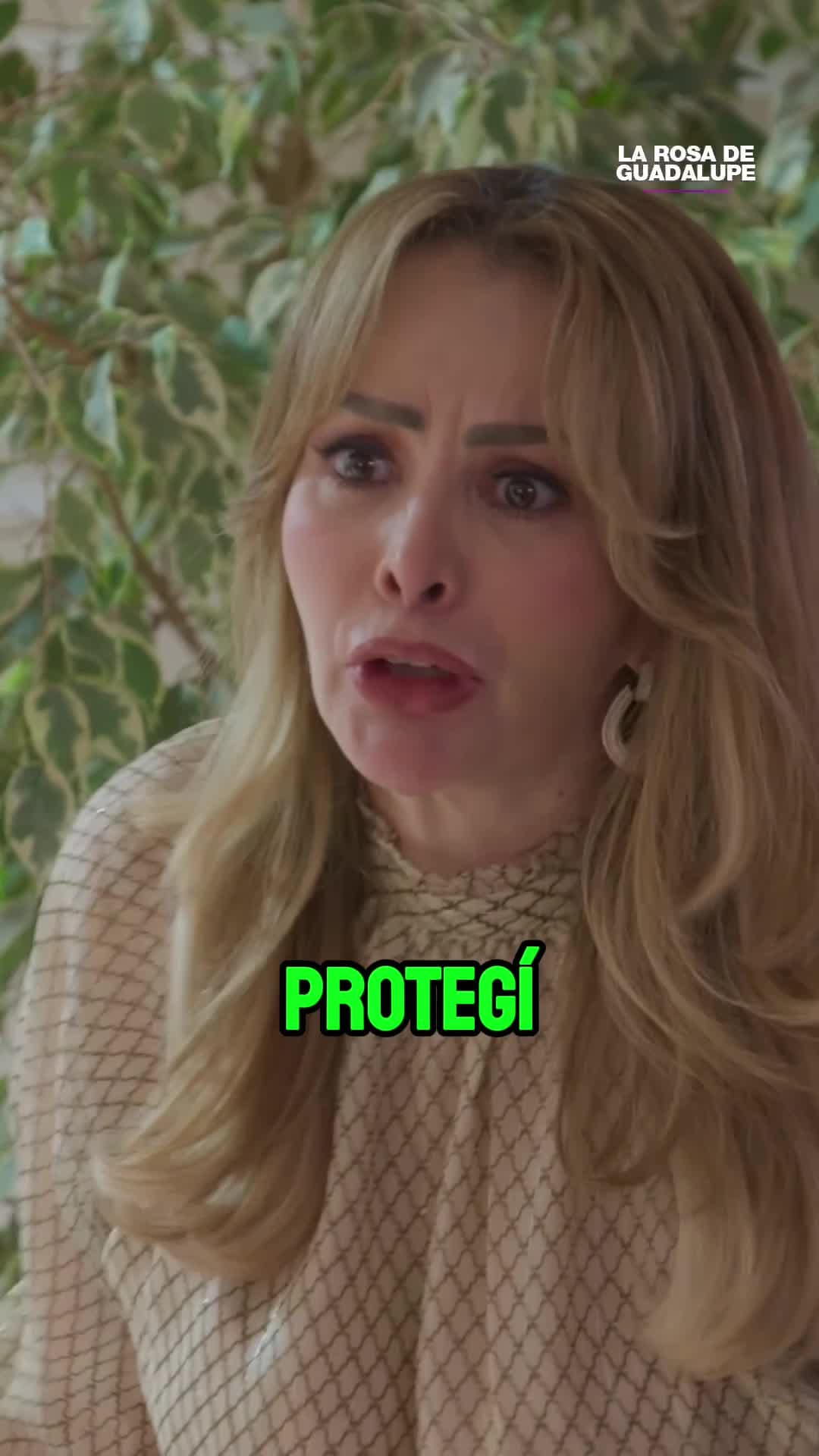 Cómo fui a salir con mi domingo 7