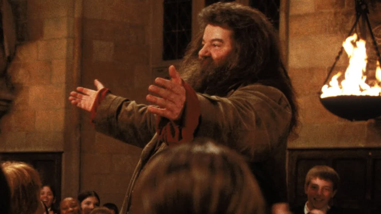 ¿Ya hay actor para interpretar a Hagrid en 'Harry Potter'? Esto sabemos