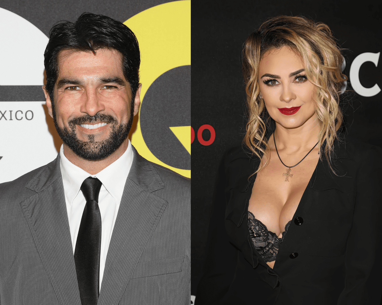 Arturo Carmona habla de la relación que tuvo hace años con Aracely Arámbula