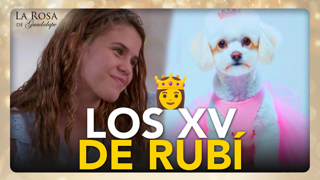 Resumen del capítulo de La Rosa de Guadalupe: Los quince de Rubí