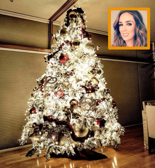 Jacqueline Bracamontes y su familia quedaron impactados por cómo les quedó el árbol. Foto: Instagram