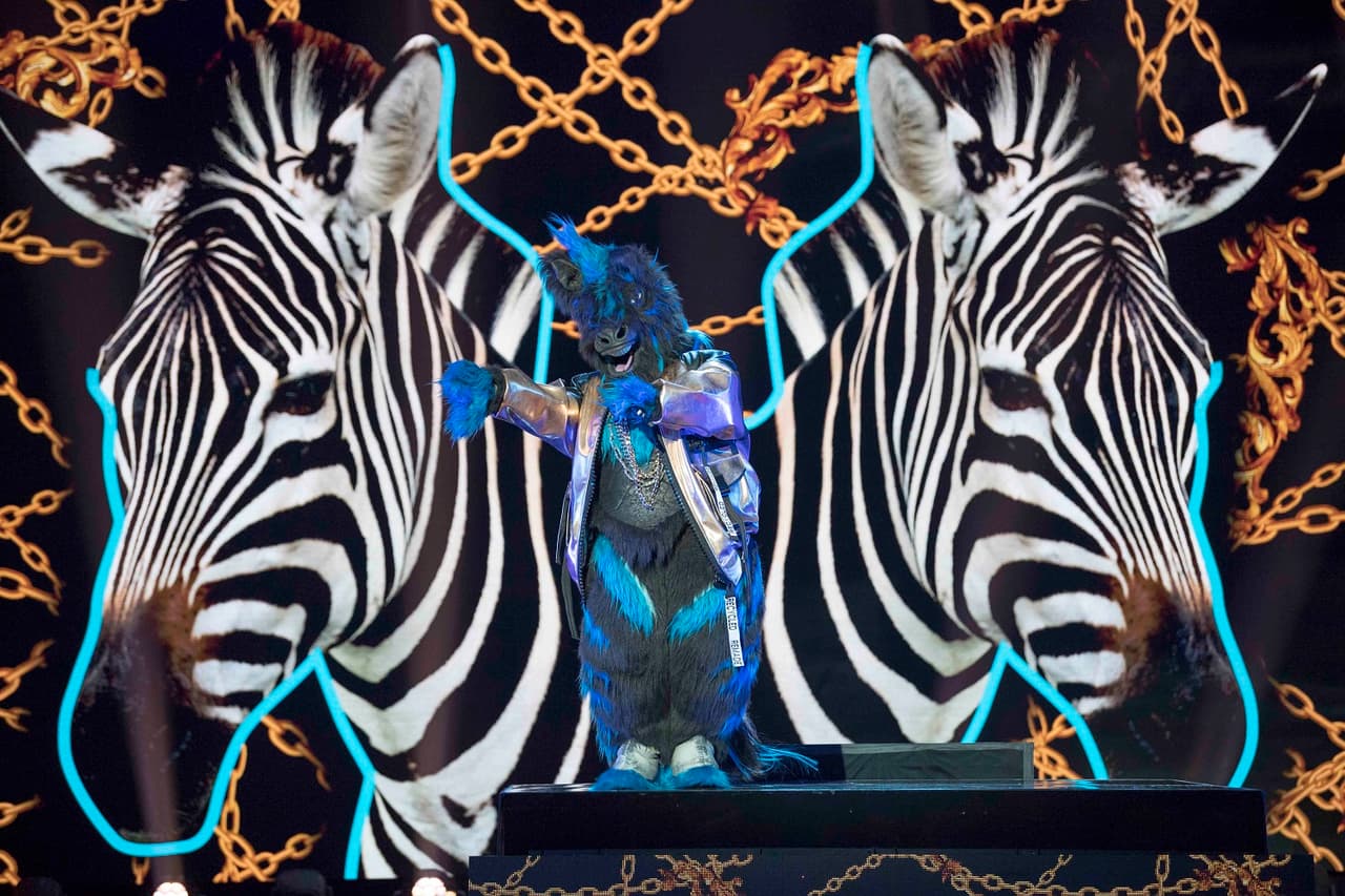 Cebra es el personaje con más energía dentro de la competencia, al poder cantar y bailar en cada uno de los siete programas transmitidos.