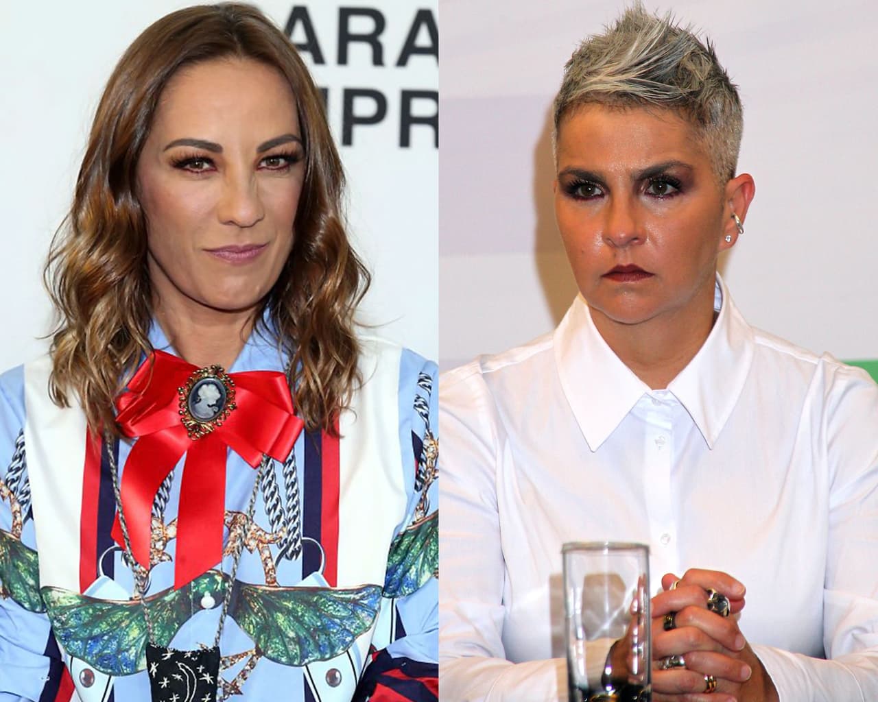 Consuelo Duval acusa a Federica Quijano de "tirar a la calle" a sus perritos rescatados