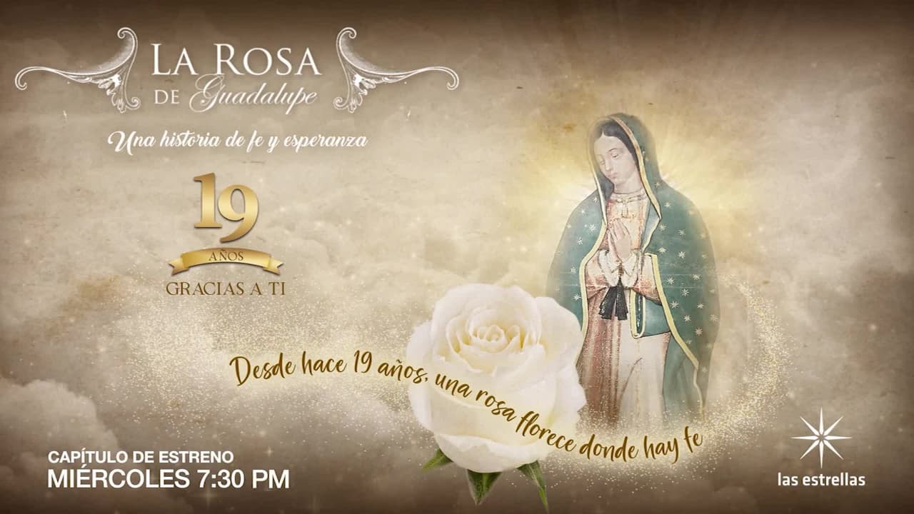 ¿Qué capítulo de estreno ver hoy 7 de octubre 2026 en La Rosa de Guadalupe?