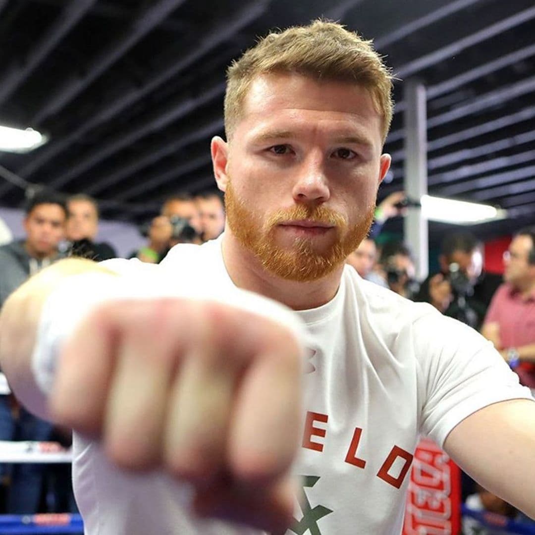 ‘Canelo’ Álvarez presume al nuevo integrante de su familia; un gatito ¡de miles de pesos!