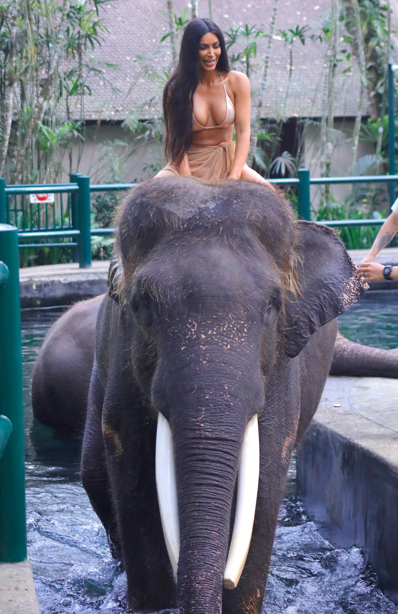 Las hermanas Kardashian, en bikini, montaron un elefante en Bali, mira las imágenes.
