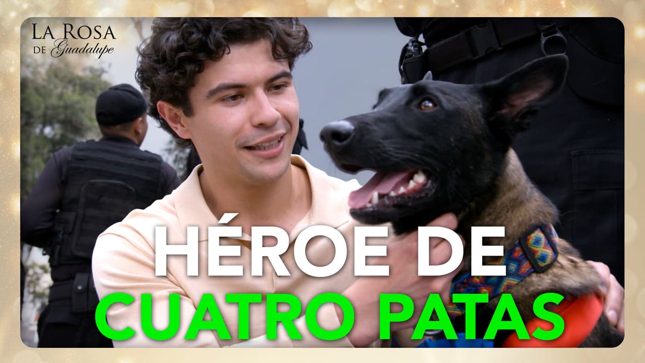 Rocky se convierte en el héroe que evita que Tito arruine su vida
