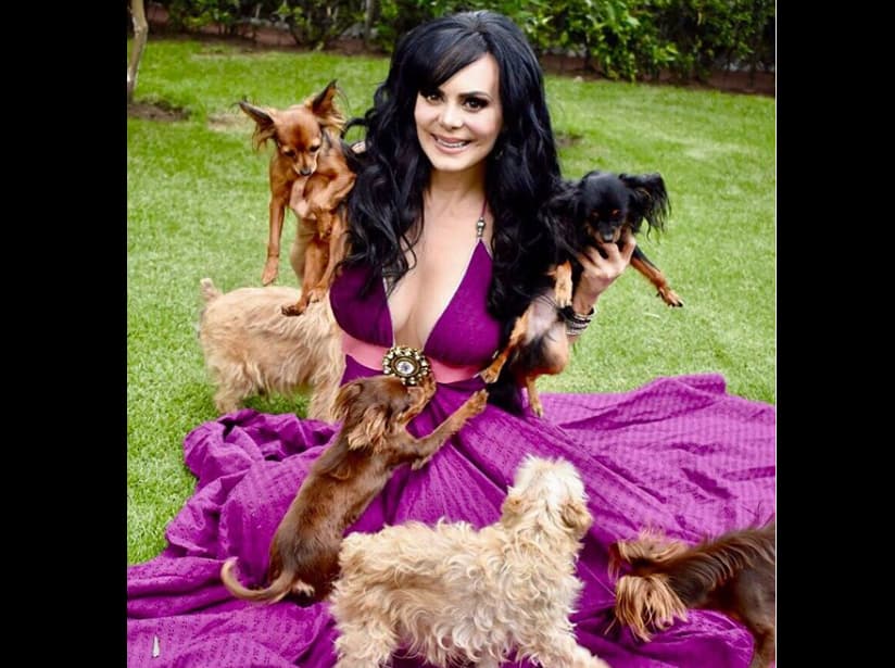 Maribel Guardia lamenta la muerte de su mascota