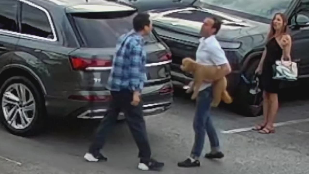 Conductor de Uber golpea a un pasajero que viajaba con su perro de servicio: el agresor fue detenido