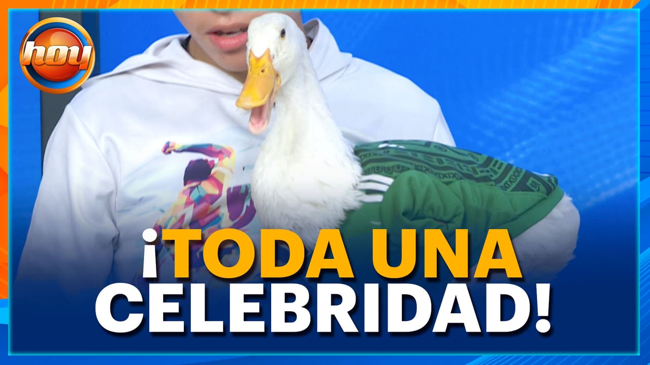 ¡De pato viral a figura mundial! Merlín será nombrado EMBAJADOR de México por la FIFA