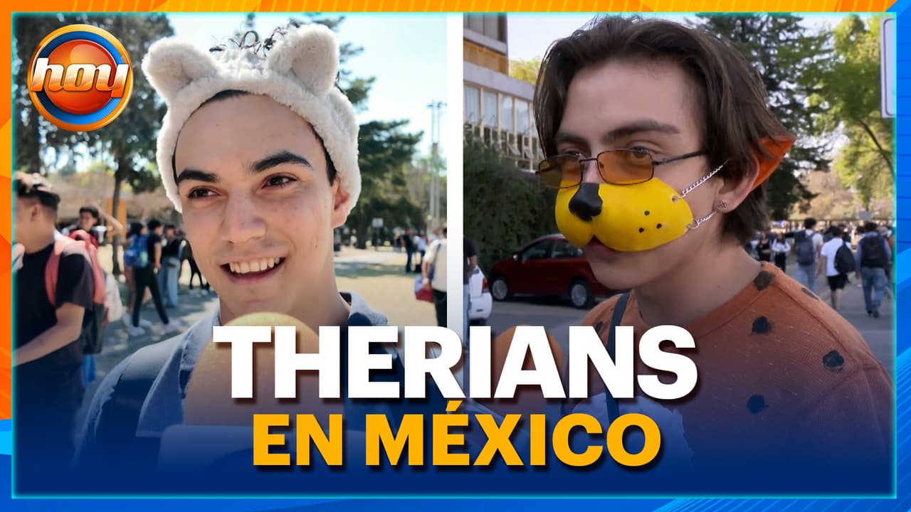 Se reunieron los Therian… ¡y esto pasó!