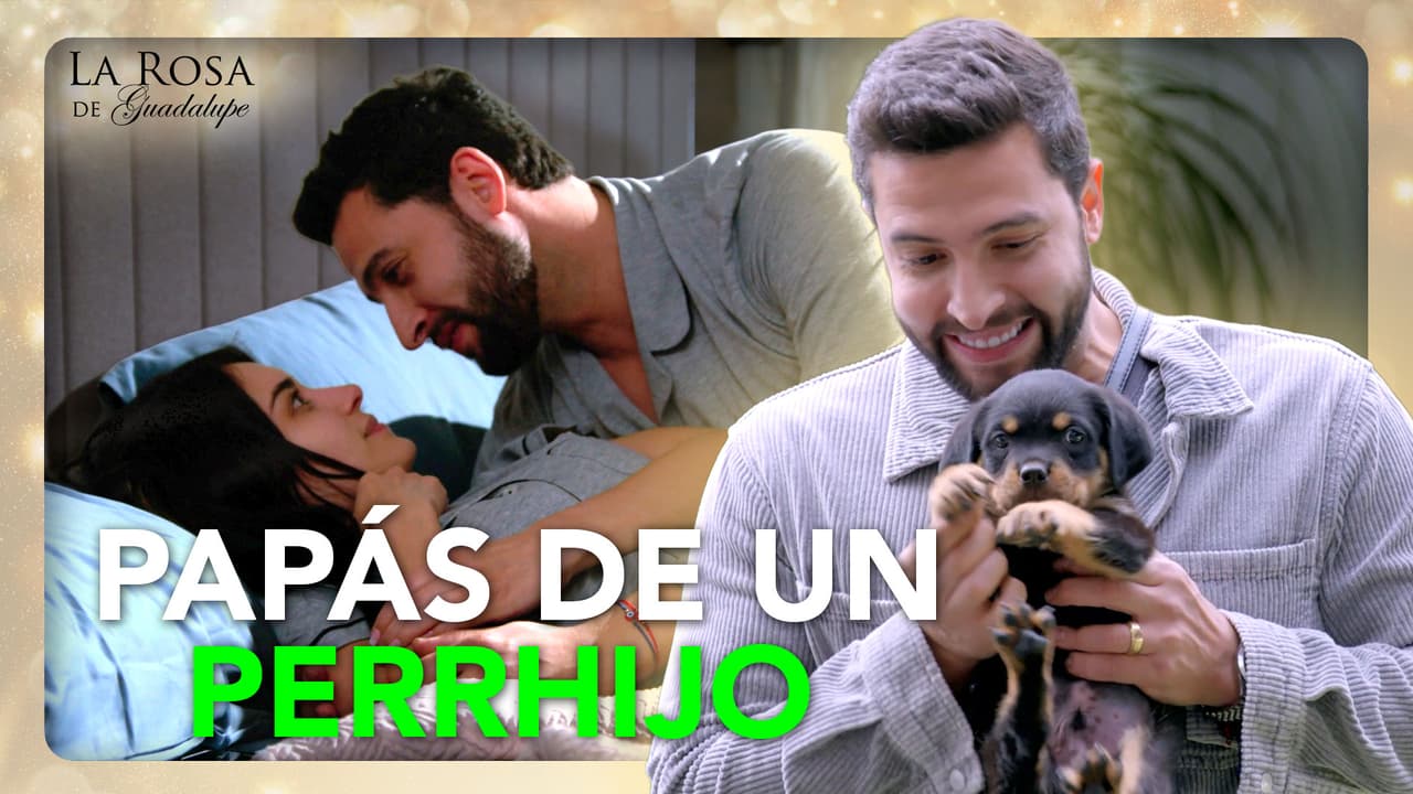 Alma no quiere tener hijos y convence a su esposo de adoptar un perrhijo